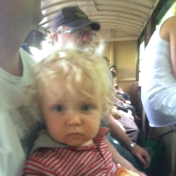 Meet your Posher, Viv - Picture 1 of 1